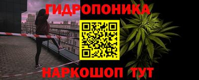 гидра Кимры