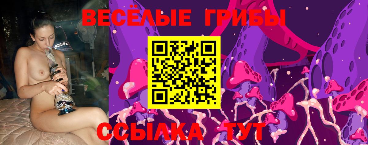 Галлюциногенные грибы Psilocybe Коммунар