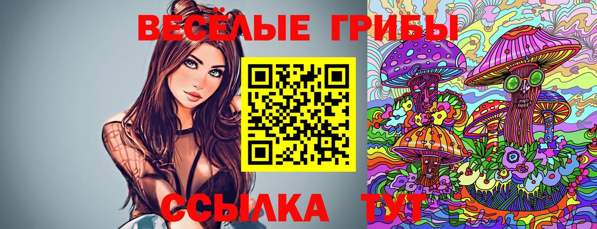 наркотики  Псилоцибиновые грибы прущие грибы  Вход с VPN  Коммунар 